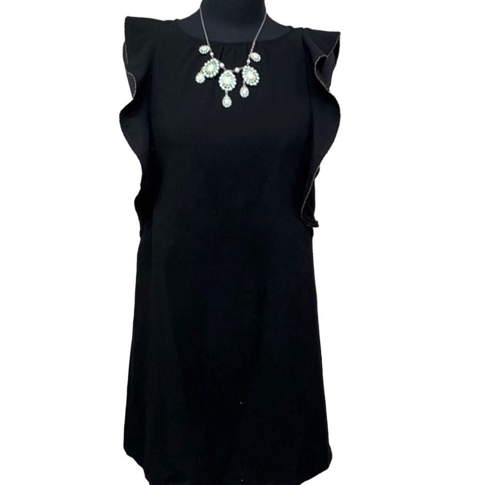 Black Swan Dress